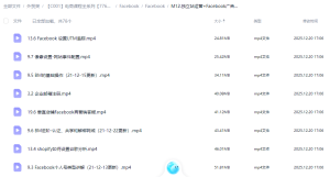 拒绝封号与盲投！Facebook 独立站投手进阶实战课（BM详解+数据追踪篇）-Lifanji 跨境站长资源库