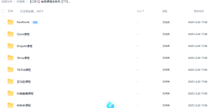 电商人的“百科全书”：8大主流平台实战课合集（从亚马逊到TikTok全覆盖）-Lifanji 跨境站长资源库