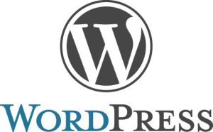 WordPress外贸建站定制 | 100%源码交付 + Google SEO优化——售前咨询服务-Lifanji 跨境站长资源库